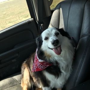 Meet your Posher, Sidni